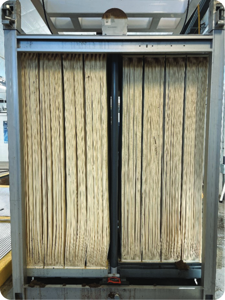 water filter